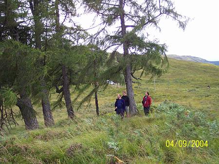 angus_resting_place_2