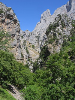 The Cares Gorge