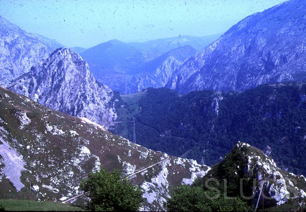 Luss_Tresviso_Slides_0034.jpg